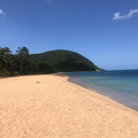 Villa Coco Caraibes Deshaies Exterior foto