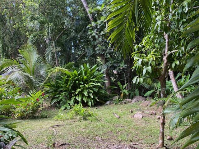 Villa Coco Caraibes Deshaies Exterior foto