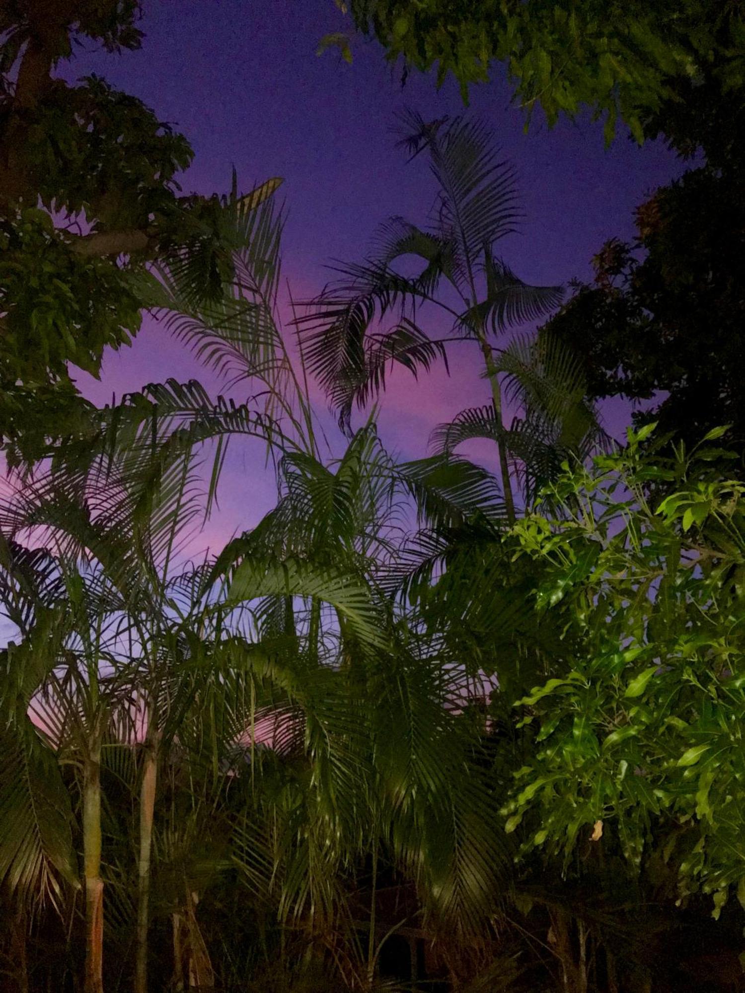 Villa Coco Caraibes Deshaies Exterior foto