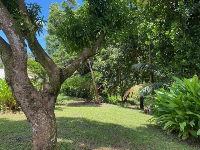 Villa Coco Caraibes Deshaies Exterior foto