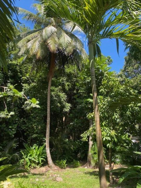 Villa Coco Caraibes Deshaies Exterior foto