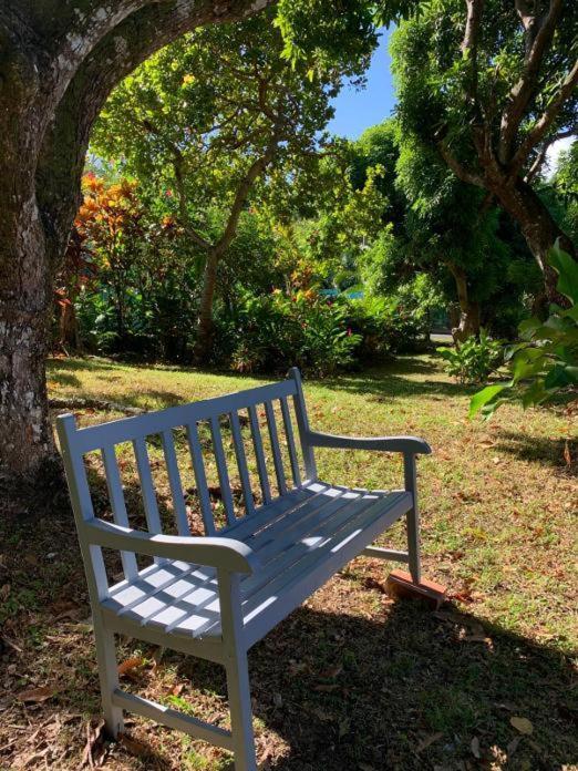 Villa Coco Caraibes Deshaies Exterior foto